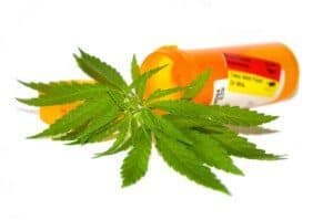 medical-marijuana-cannabis