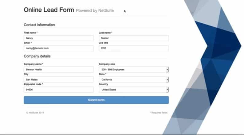 NetSuite lead management