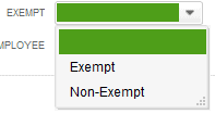 How To Add Employees In QuickBooks Pro