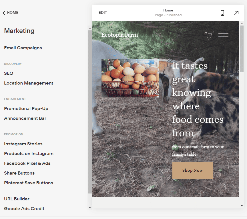 Squarespace eCommerce