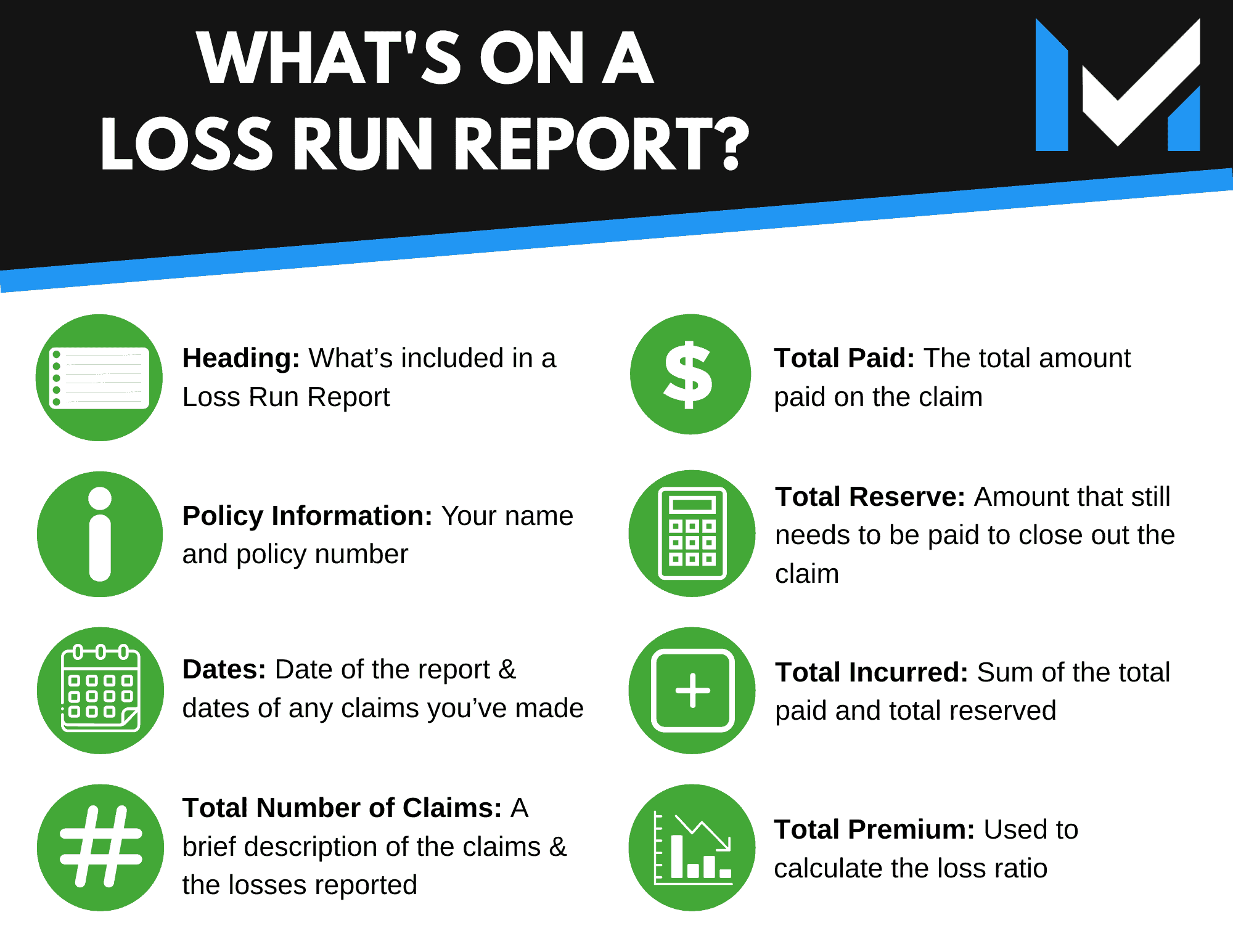 Loss Run Report Template