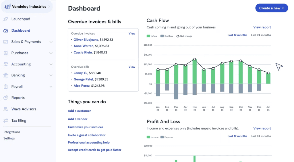 Wave Accounting Dashboard Screenshot