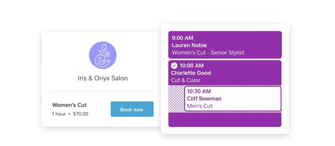 Screengrab of Square Appointments Booking Tool