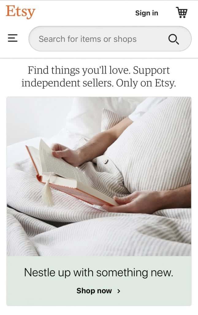 successful online store