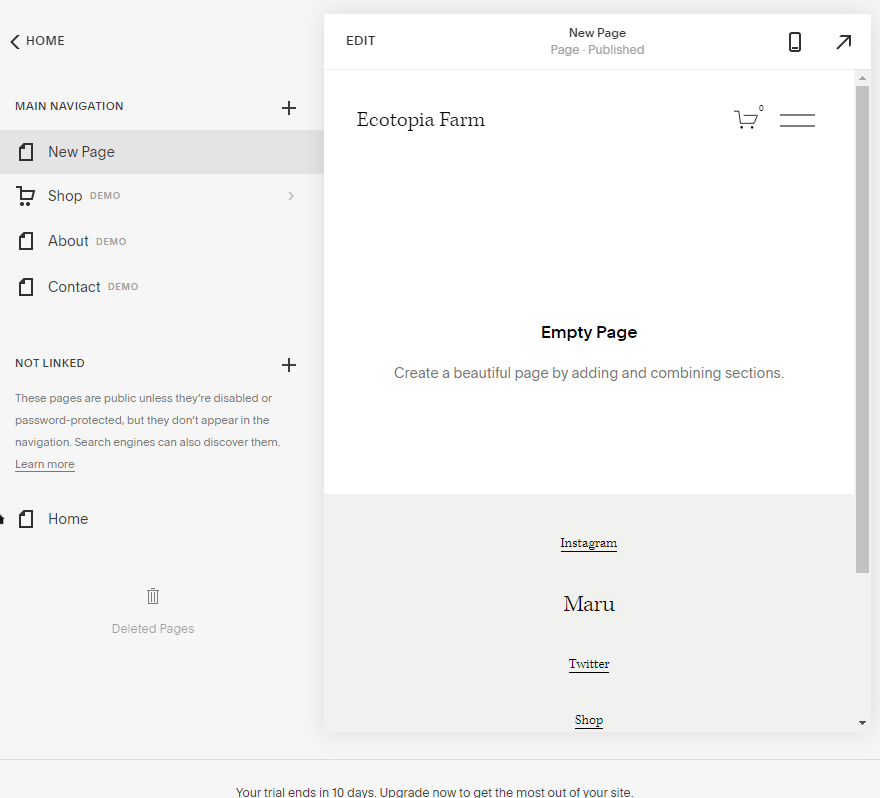 Screengrab of Squarespage webpage, showing options for adding a new page to your store