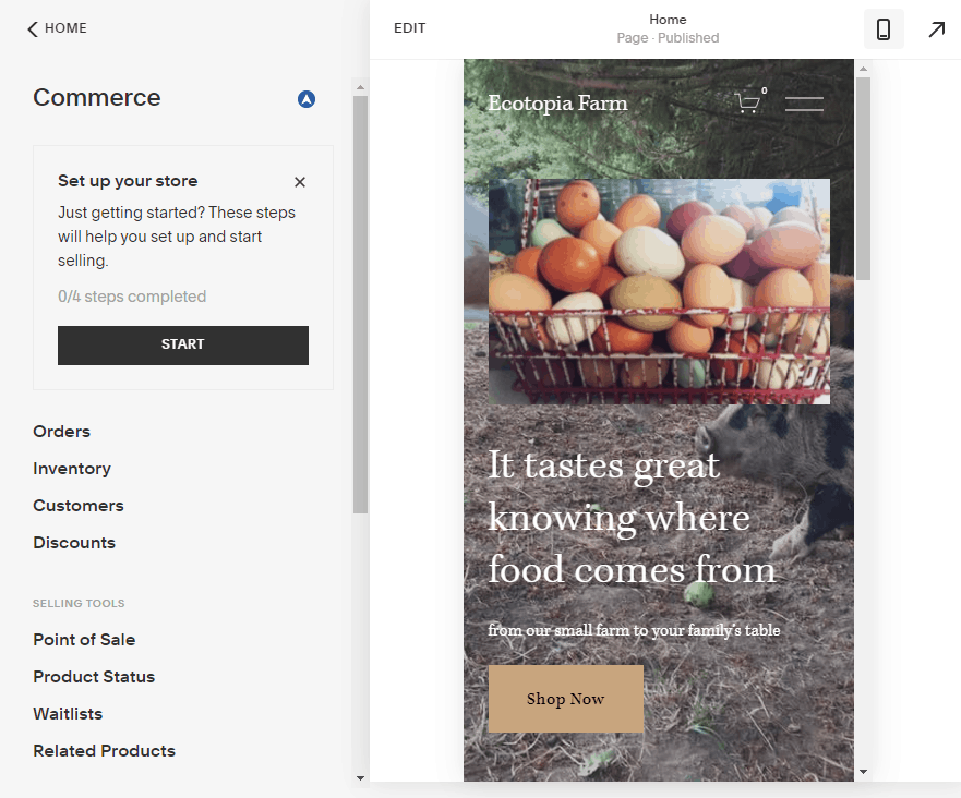 Screengrab of Squarespace eCommerce setup