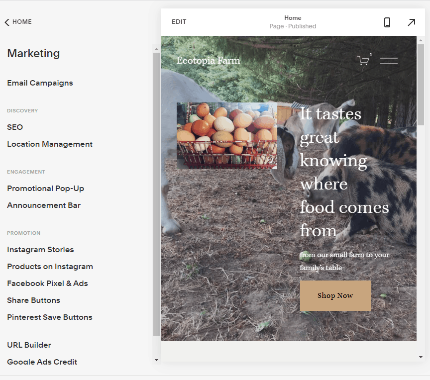 Screengrab of Squarespace marketing options