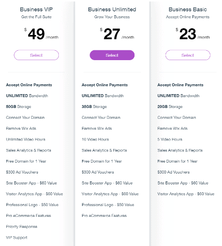 Screengrab showing options for how to set up your Wix webpage to accept online payments