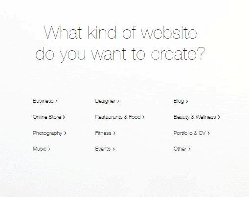 Screengrab showing options for business categories showing how to build a Wix website