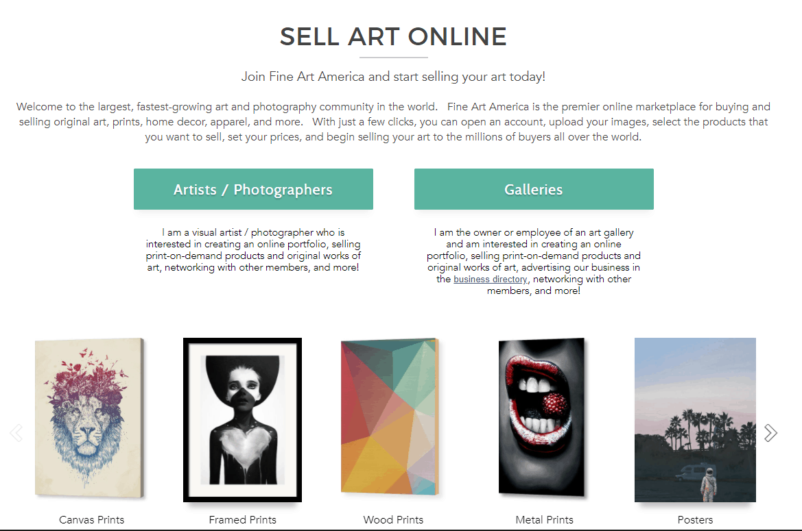 Screengrab of FineArt America samples