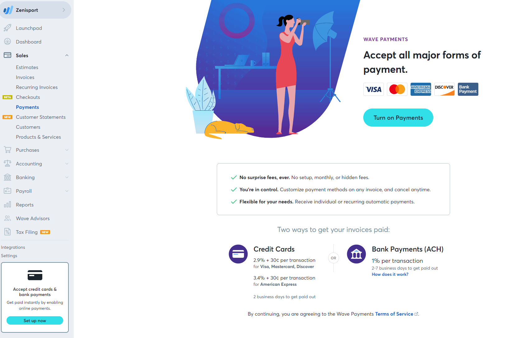 Wave Payments Guide Costs + Features for Small Biz