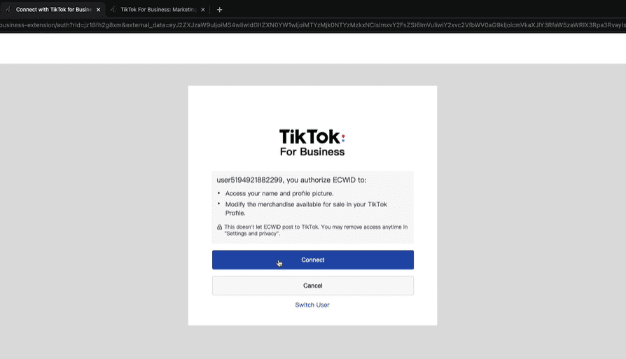 Connect Ecwid to TikTok For Business account