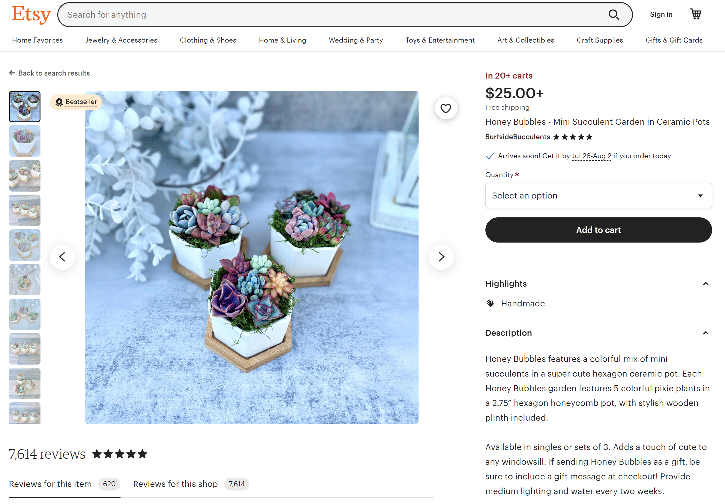 Shopify succulent listing on Etsy online marketplace.