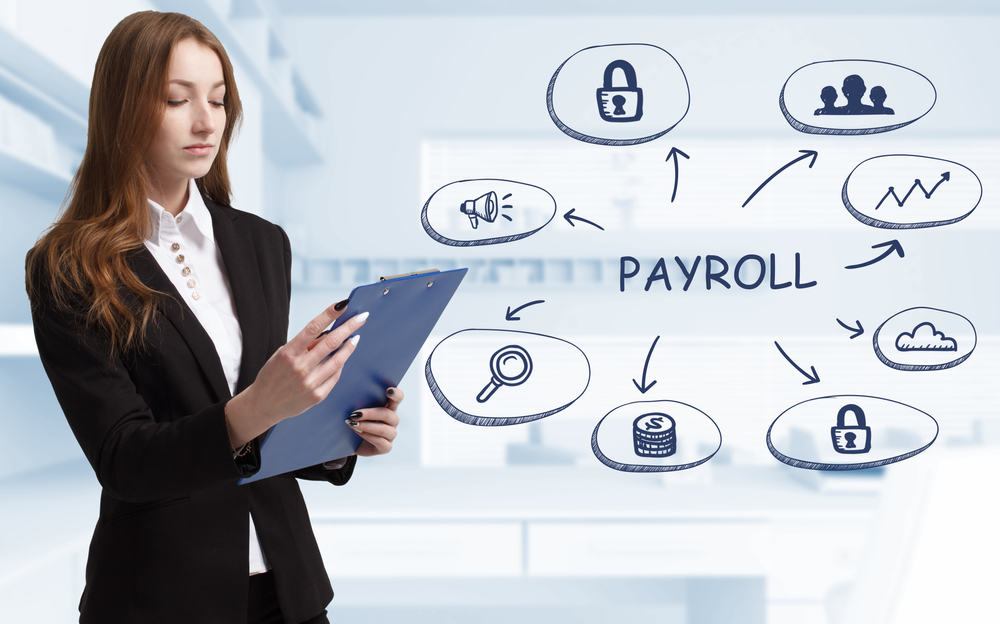 Payroll software types
